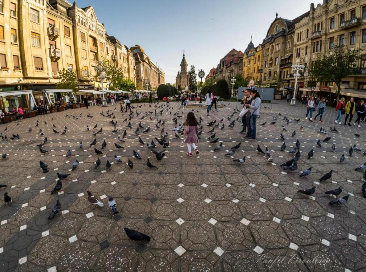 Premium Timisoara Leilighet Eksteriør bilde