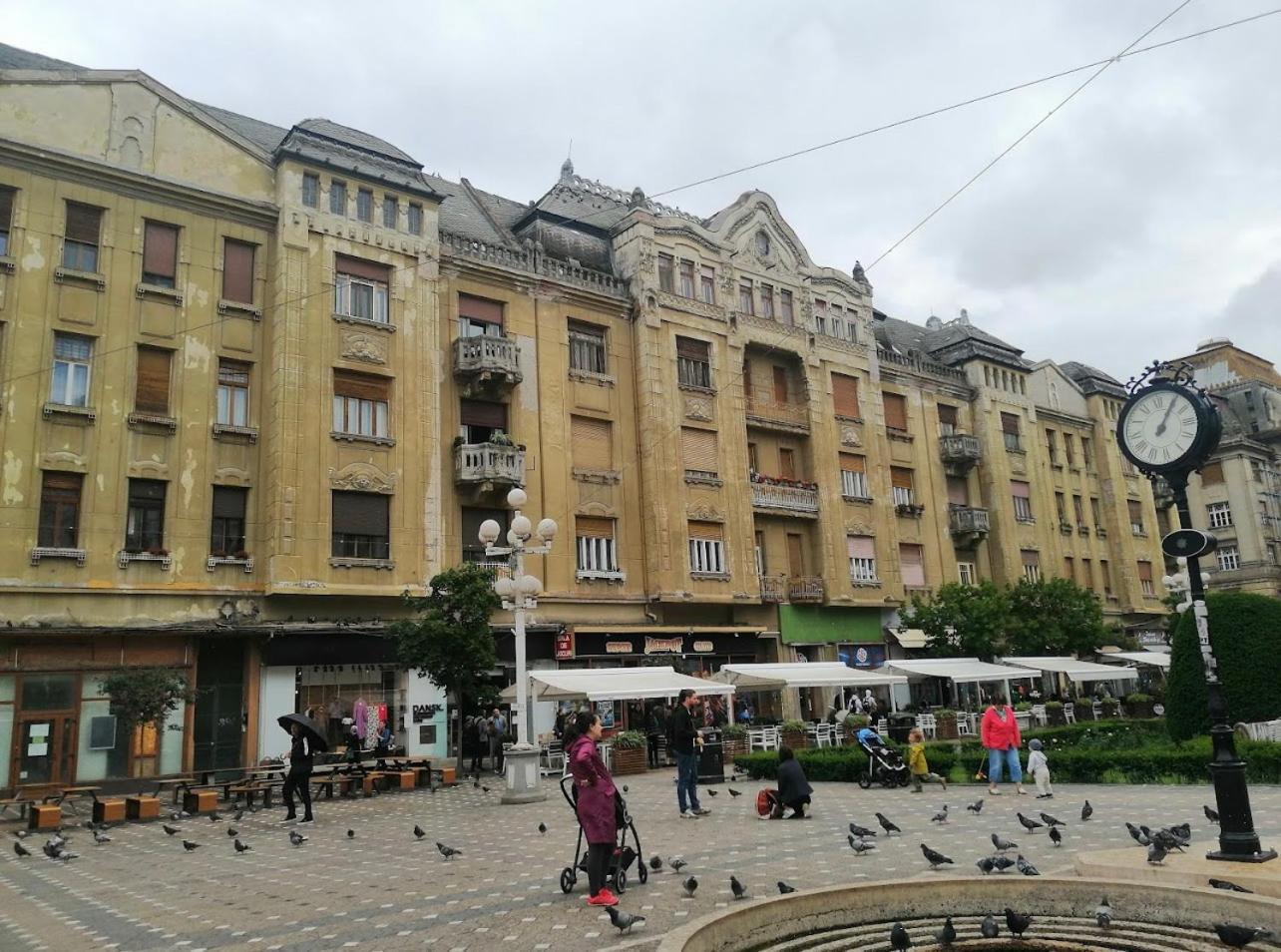 Premium Timisoara Leilighet Eksteriør bilde